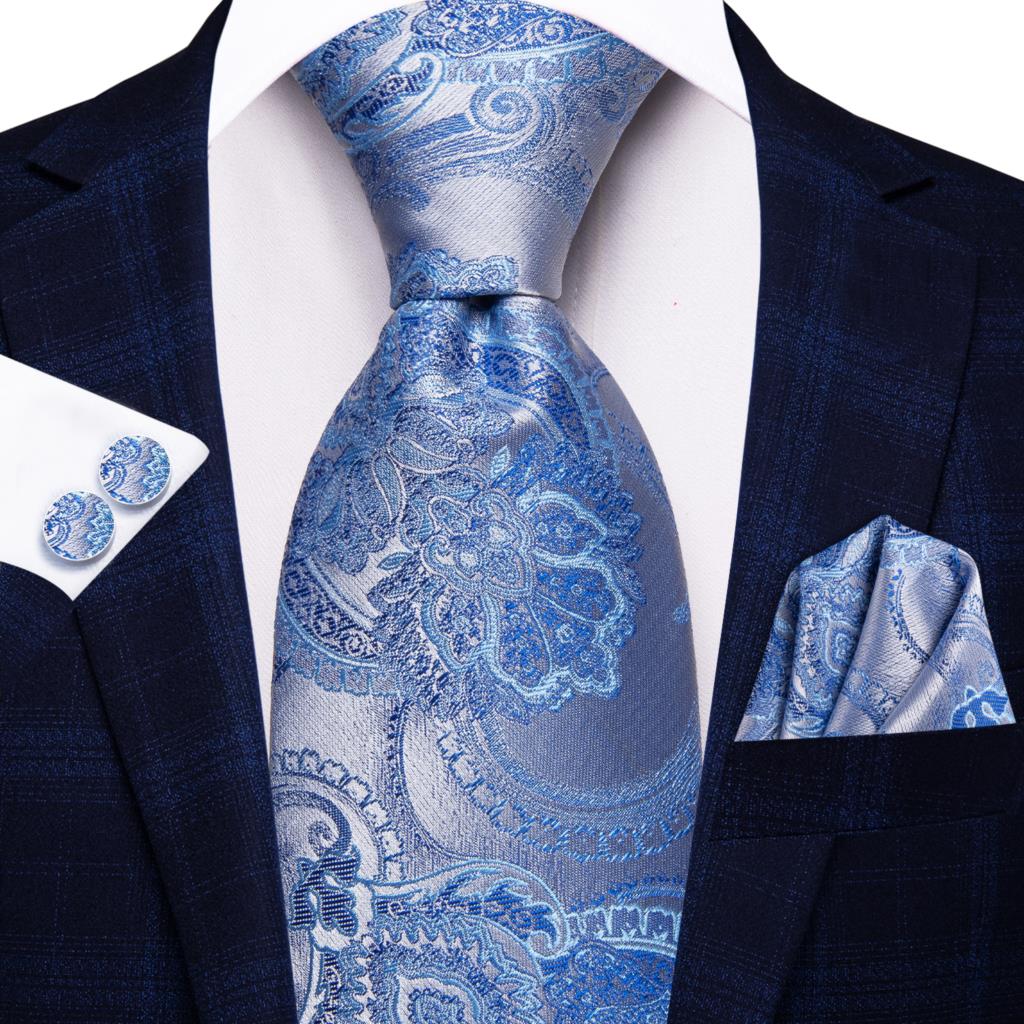 Elegant Ties Set