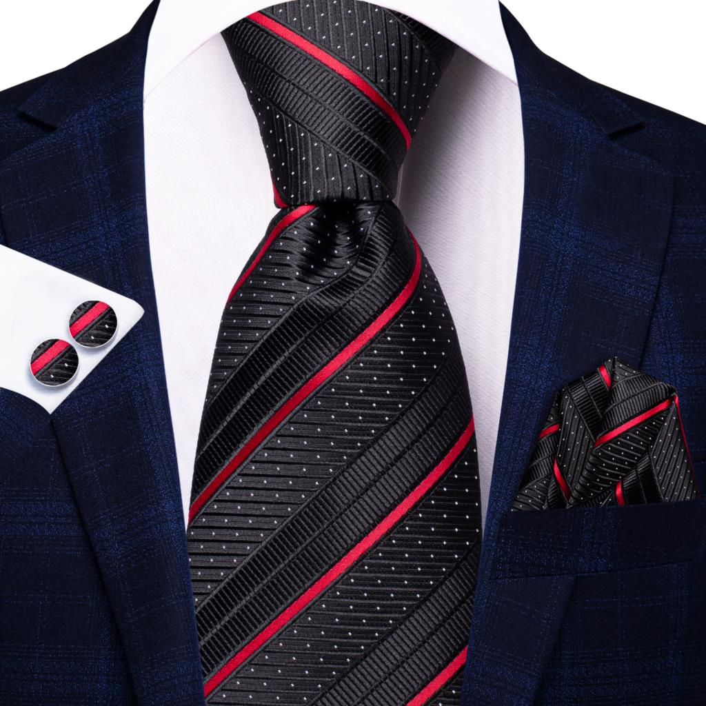 Elegant Ties Set