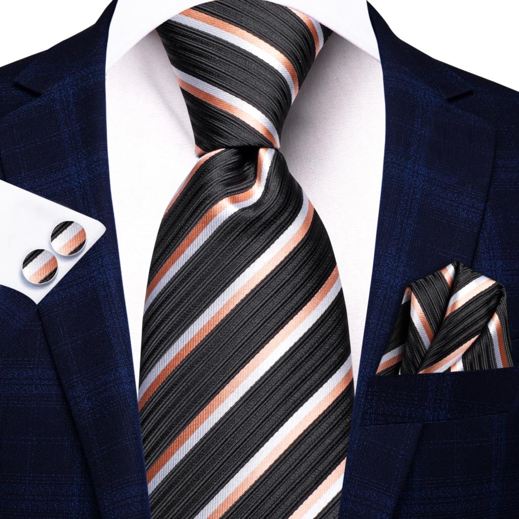 Elegant Ties Set