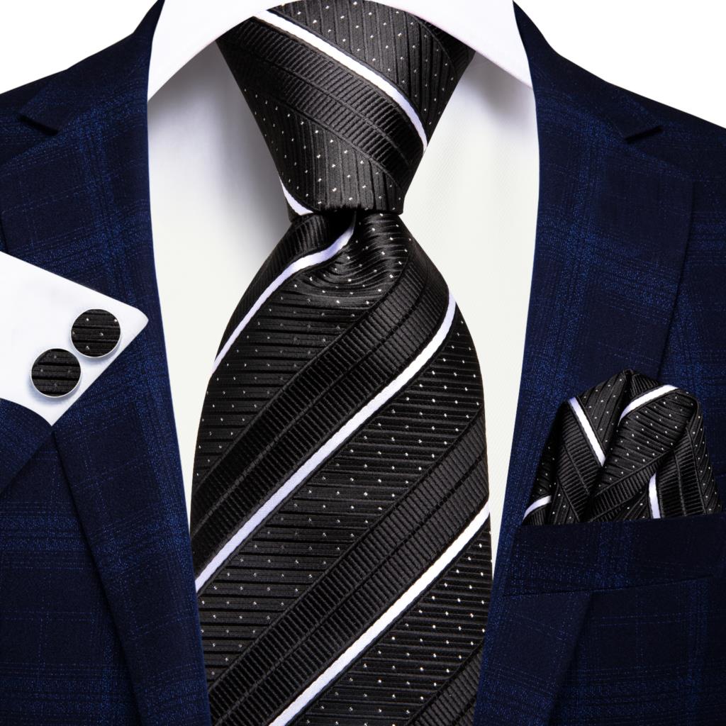 Elegant Ties Set