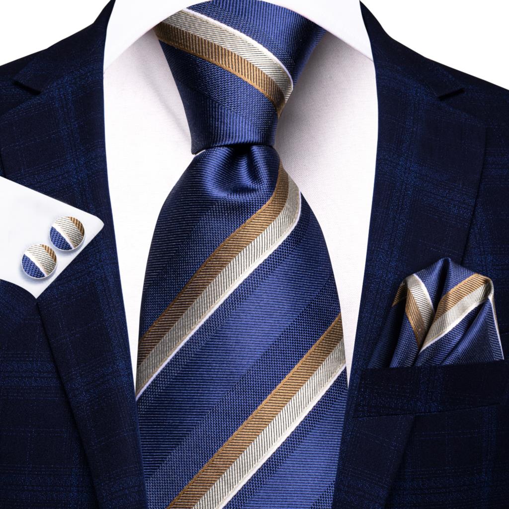 Elegant Ties Set