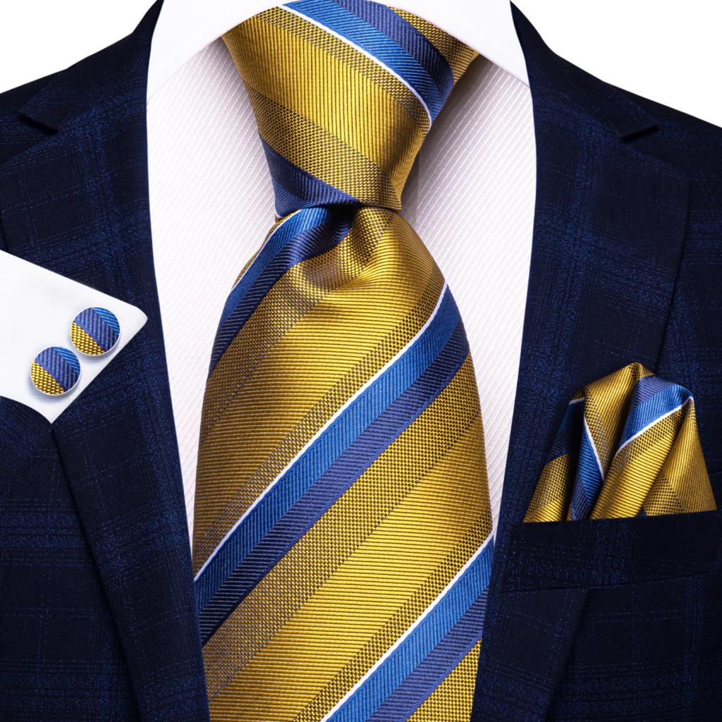 Elegant Ties Set