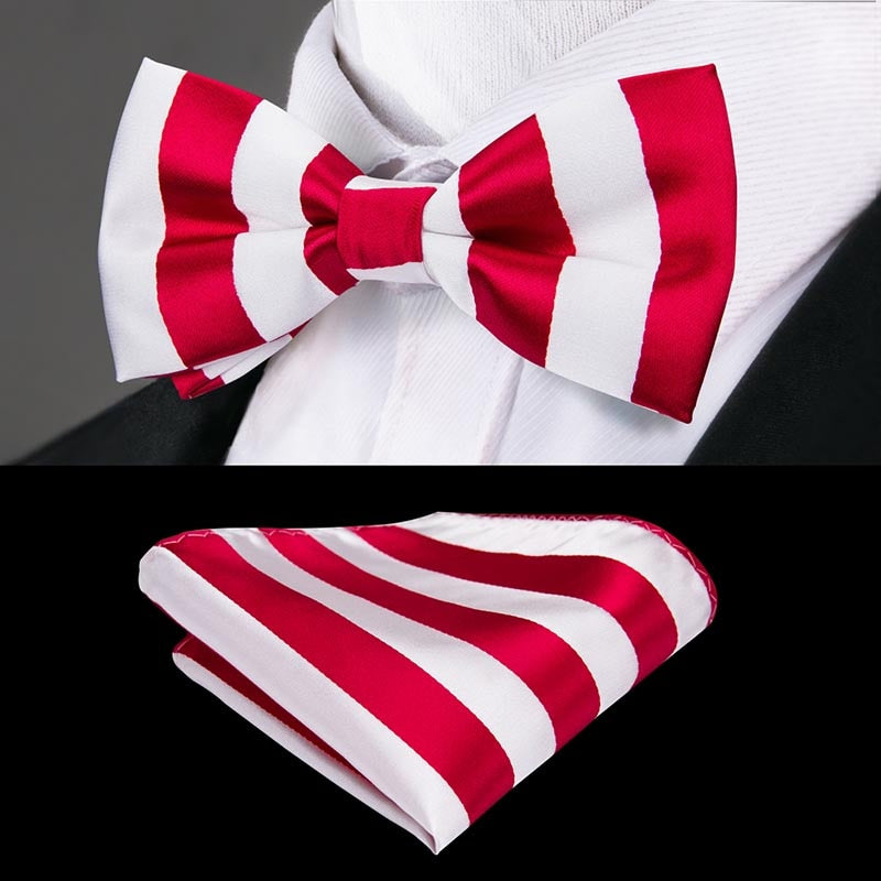 Butterfly Bow Tie Set