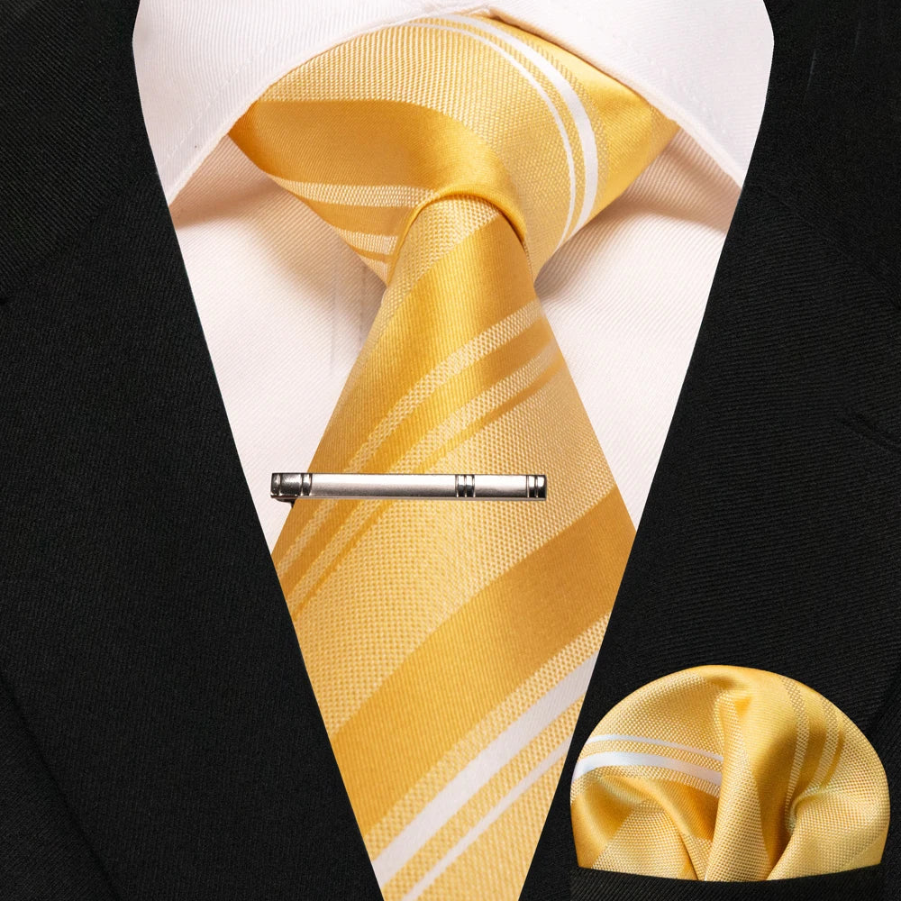Silk paisley tie set with handkerchief and tie clip for men