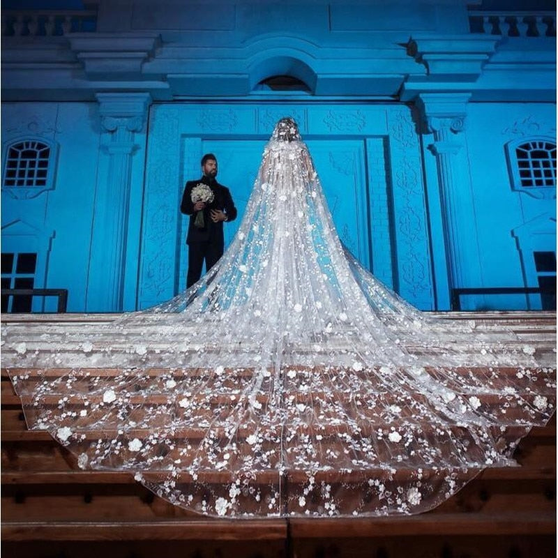 Luxurious Long Soft Lace Veil