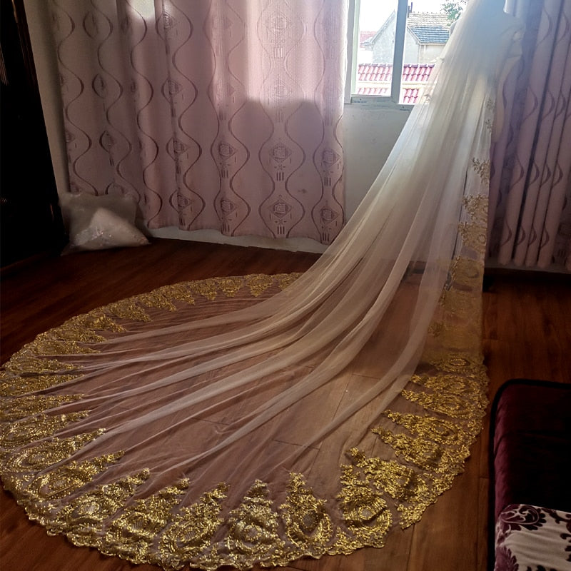 Wedding Lace Trim Luxury Veil