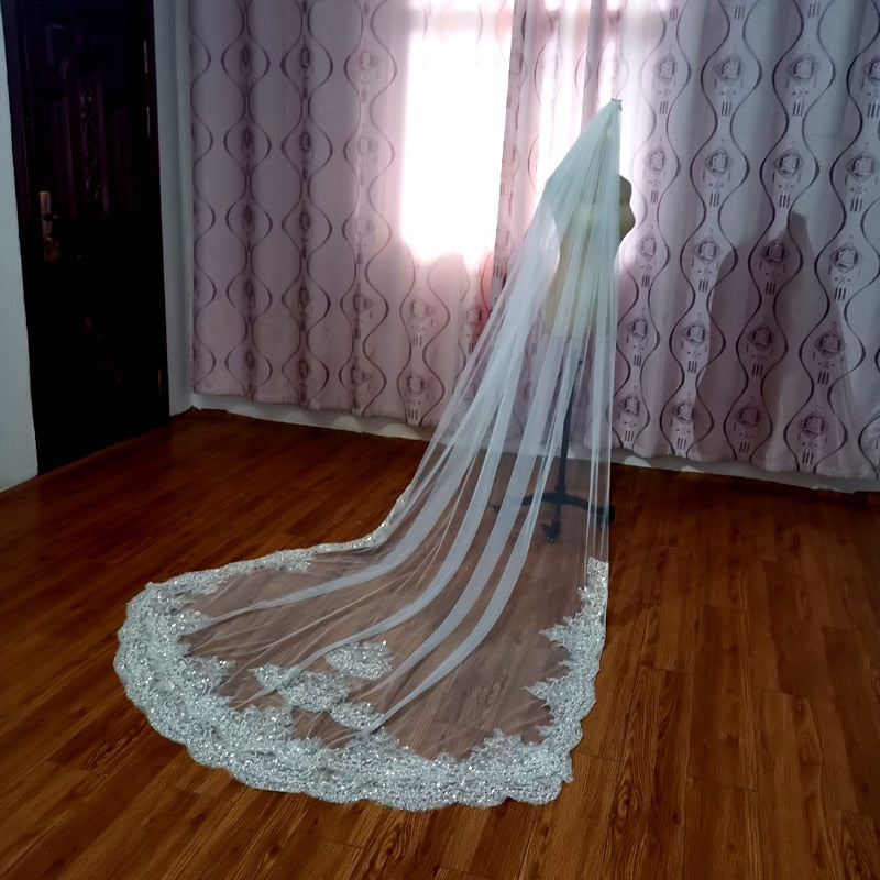 Bright Shiny Beaded Veil
