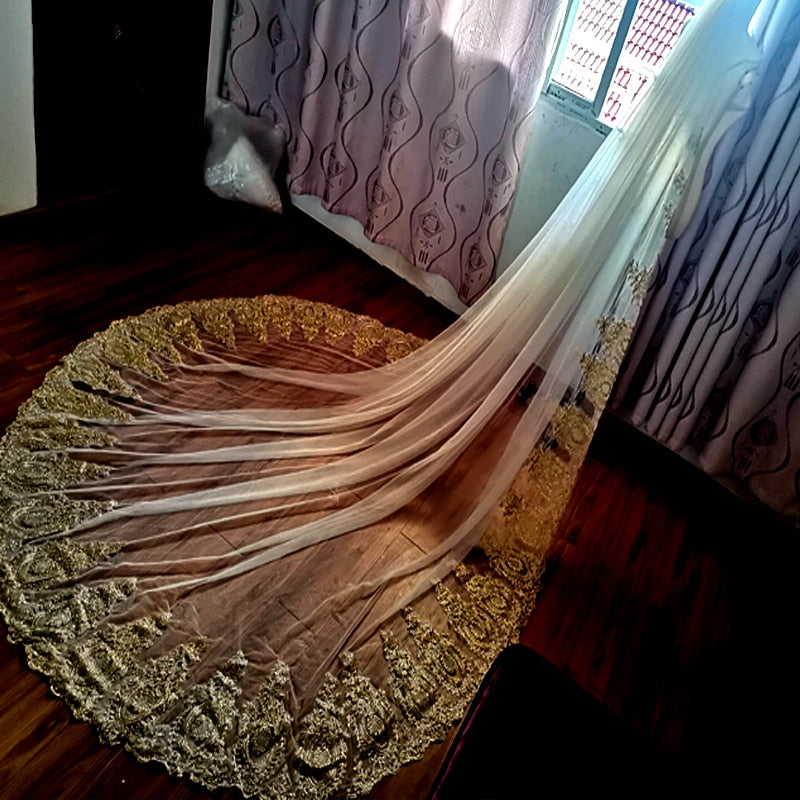 Wedding Lace Trim Luxury Veil
