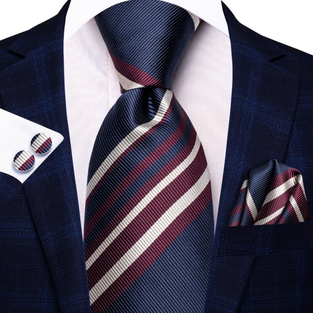 Elegant Ties Set