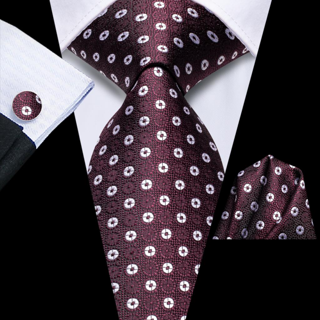 Elegant Ties Set