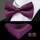 Men's Bowtie Jacquard Bow Tie Set