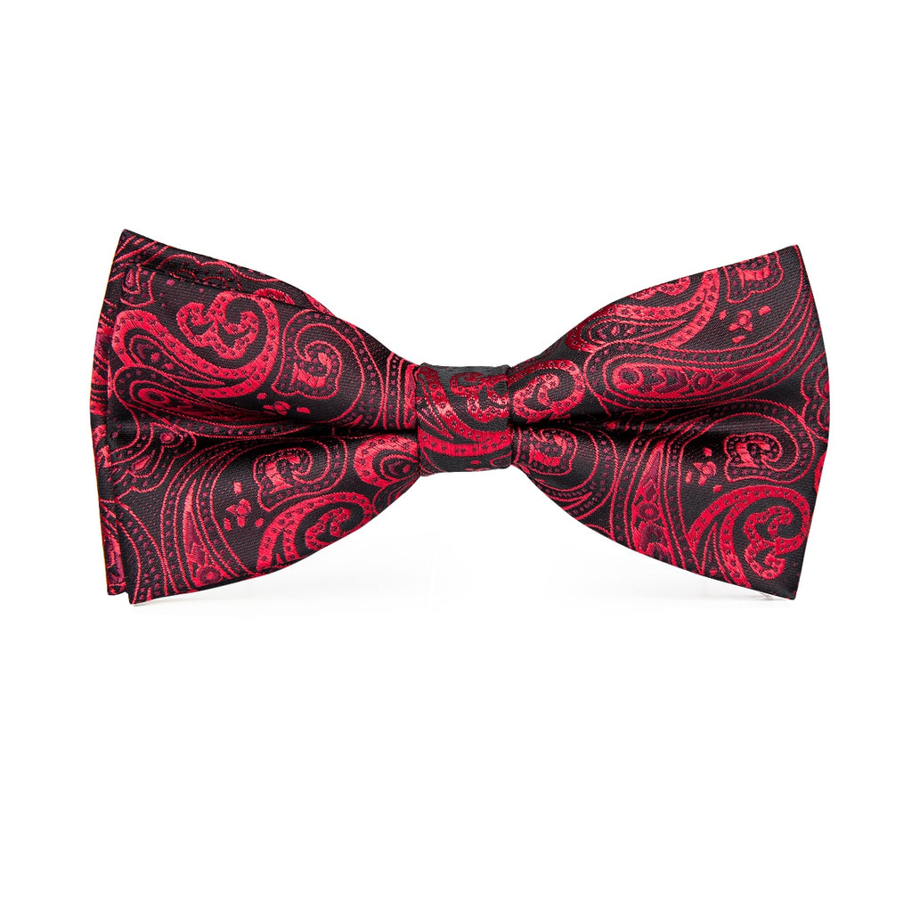 Butterfly Silk Tie Bow Tie Set