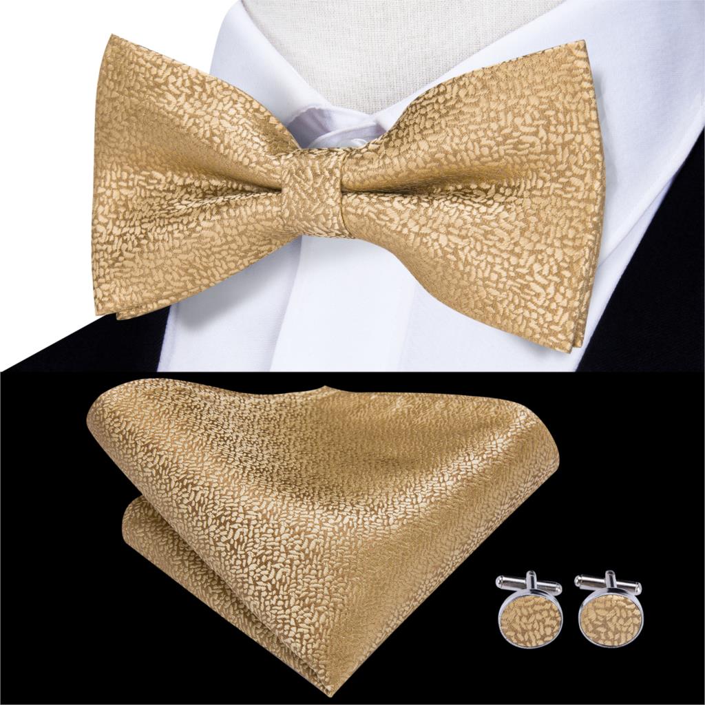 Men's Bowtie Jacquard Bow Tie Set