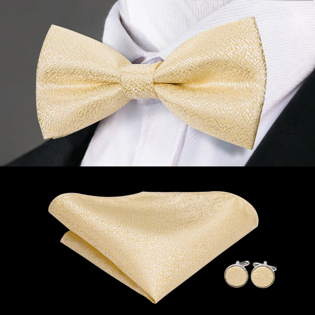 Men's Bowtie Jacquard Bow Tie Set