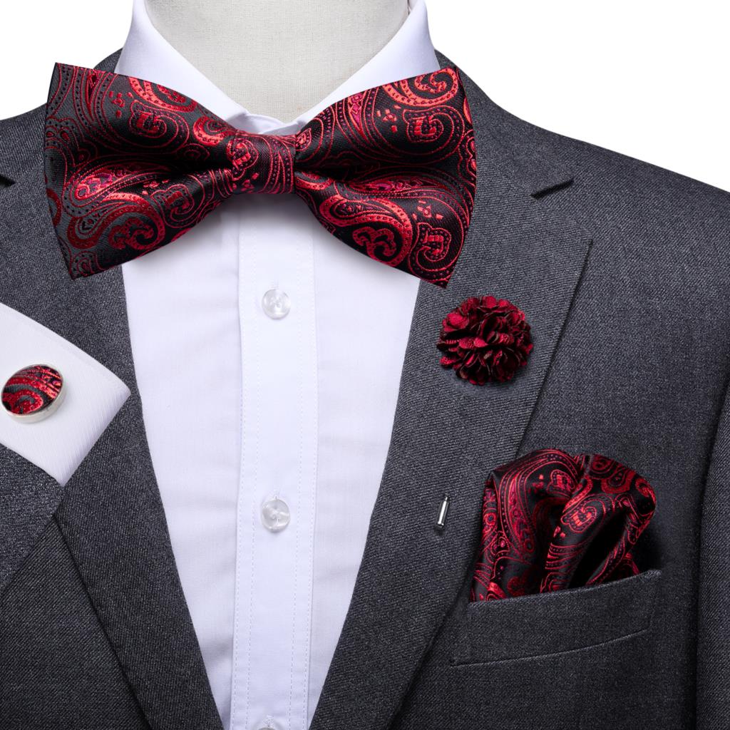 Butterfly Silk Tie Bow Tie Set