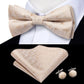 Men's Bowtie Jacquard Bow Tie Set