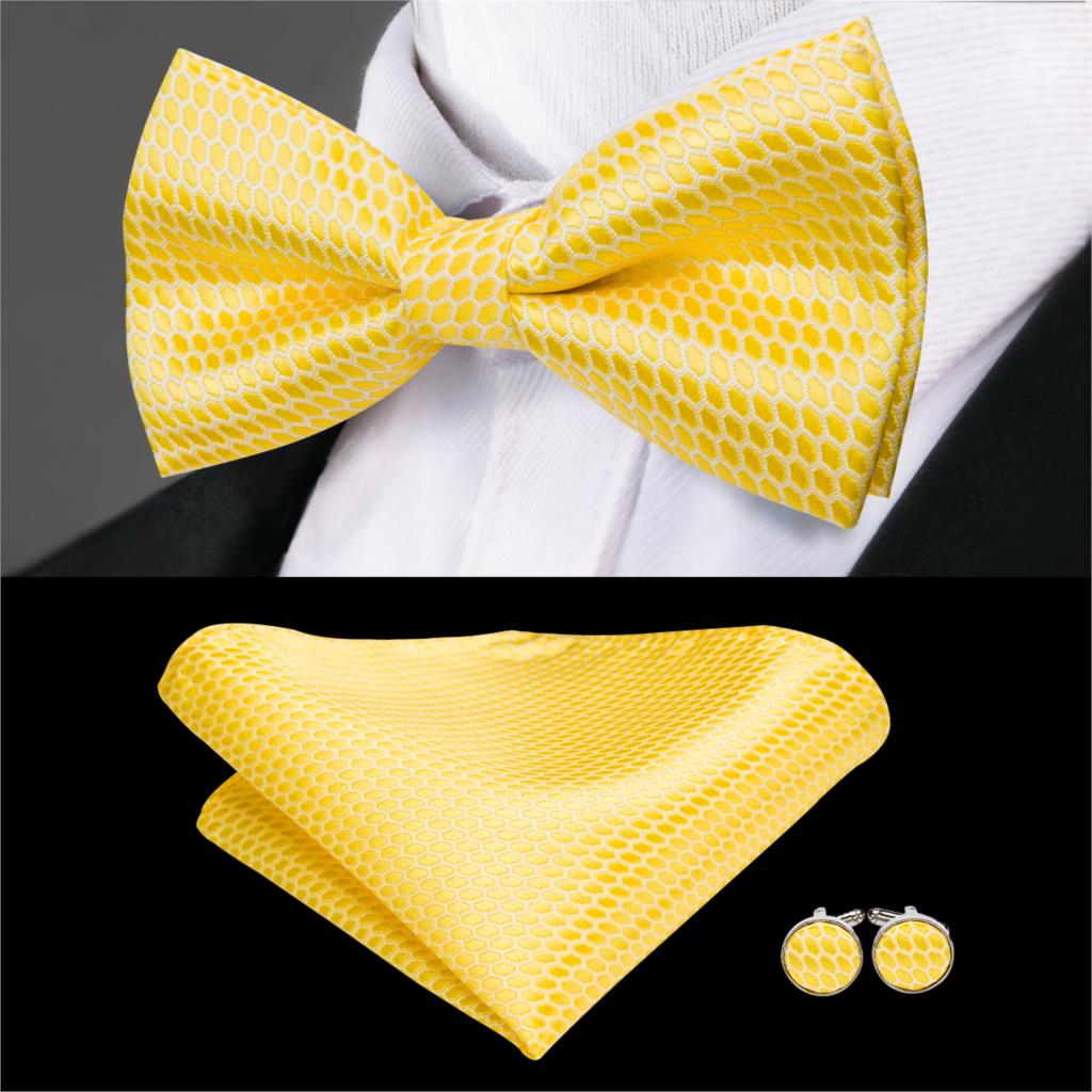 Butterfly Bow Tie Set