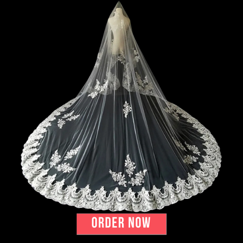 Long Wedding Bridal Veils Lace Appliques Edge Tulle