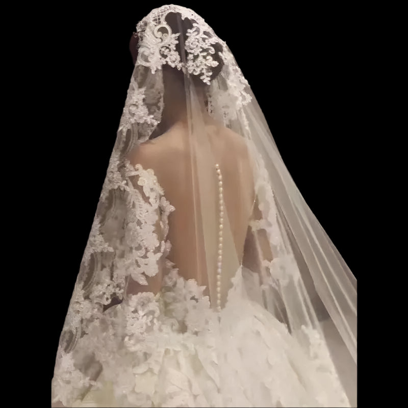 Long Wedding Bridal Veils Lace Appliques Edge Tulle Back View