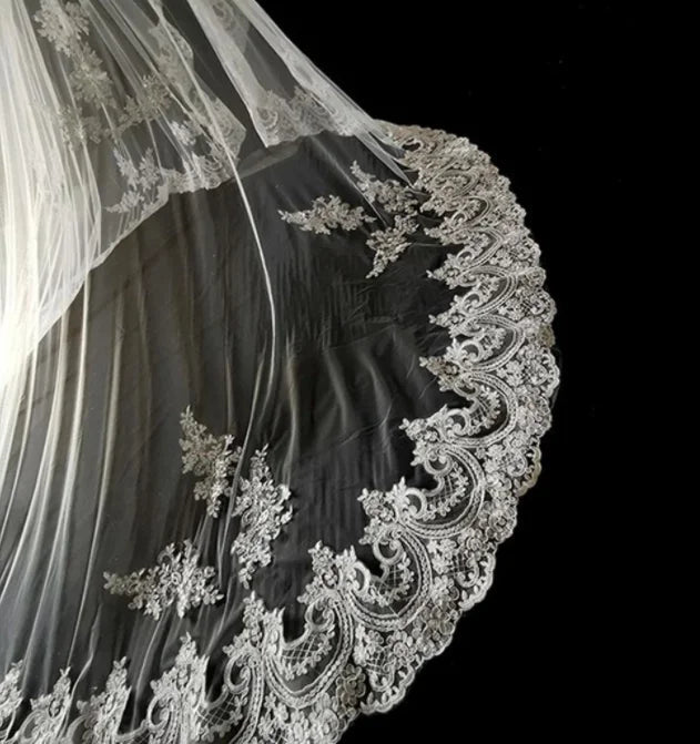 Long Wedding Bridal Veils Lace Appliques Edge Tulle style