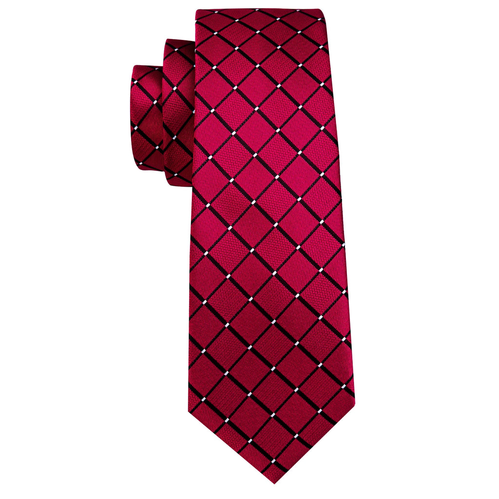 Luxurious Silk Tie Set