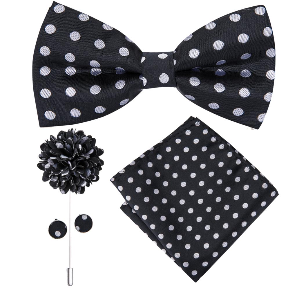 Butterfly Silk Tie Bow Tie Set