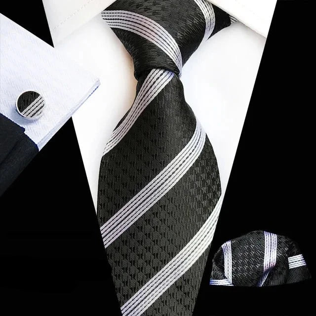 Professional Business Ties Set