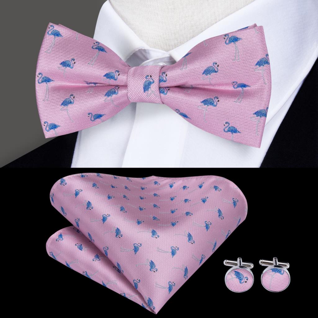 Butterfly Bow Tie Set