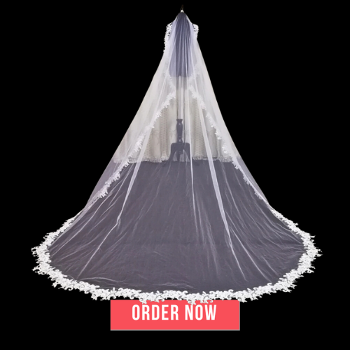 Wedding Bridal Cover Veil Applique Edge