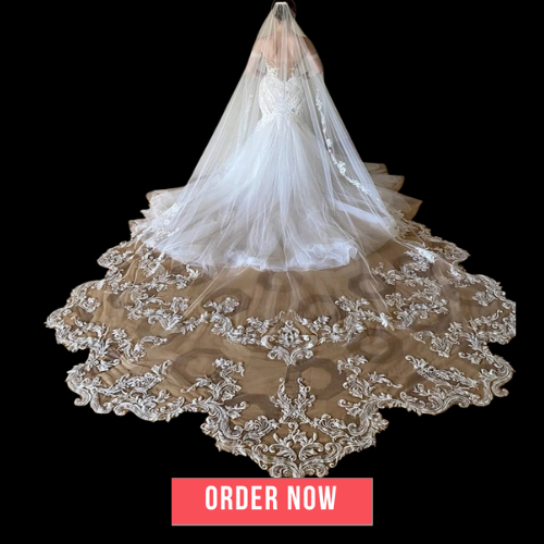White Ivory Cathedral Wedding Veil Bride