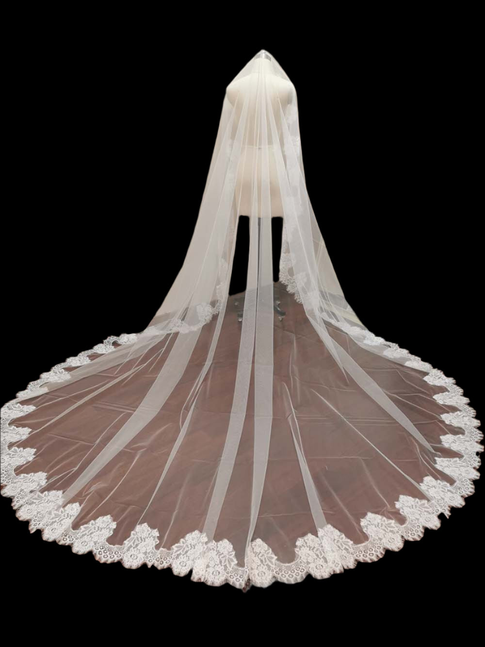 3 Meters Lace Wedding Bridal Veil back