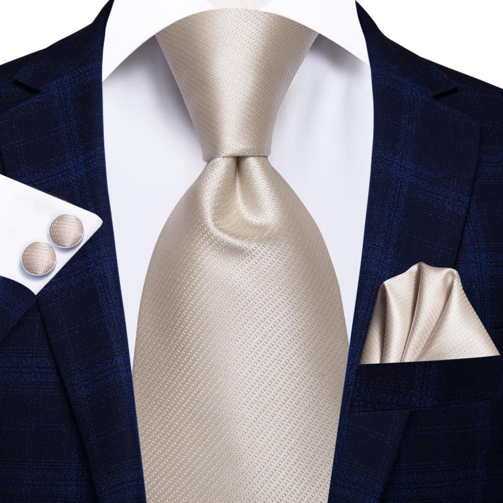Champagne Striped Paisley Tie Set